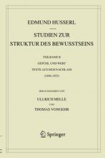 Studien zur Struktur des Bewusstseins