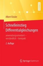 Schnelleinstieg Differentialgleichungen