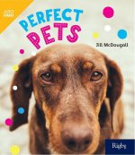 Perfect Pets: Leveled Reader Grade 2