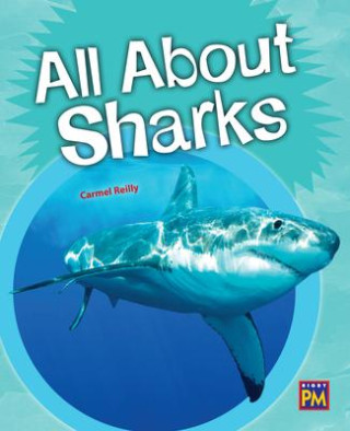 All about Sharks: Leveled Reader Silver Level 23