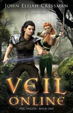 Veil Online - Book 1 (a LitRPG MMORPG Adventure Series)