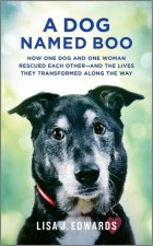 A Dog Named Boo: How One Dog and One Woman Rescued Each Other--And the Lives They Transformed Along the Way