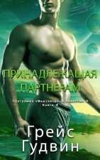 Принадлежащая Партнера&#