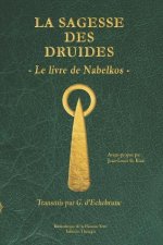 La sagesse des druides: Le livre de Nabelkos