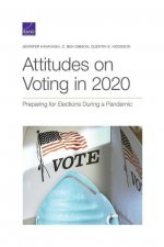 Attitudes on Voting in 2020
