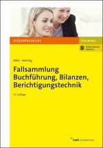 Fallsammlung Buchführung, Bilanzen, Berichtigungstechnik