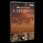 BBC Vadvilág sorozat – A leopárd