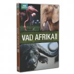 Vad Afrika 3.
