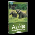Az élet megpróbáltatásai 1.