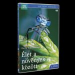 Élet a növények közt 1. - DVD