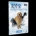 101 Nagykutya DVD 1