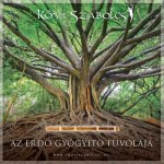 Az erdő gyógyító fuvolája - karton tokos CD