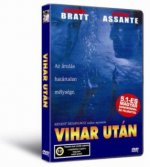Vihar után