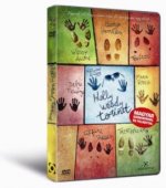 Holly Woody történet - DVD
