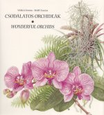 Csodálatos orchideák - Wonderful Orchids