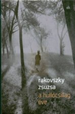 A hullócsillag éve