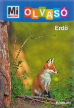 Erdő