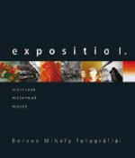 Expositio I. -  Borsos Mihály fotográfiái