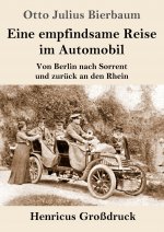 Eine empfindsame Reise im Automobil (Grossdruck)