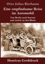 Eine empfindsame Reise im Automobil (Grossdruck)