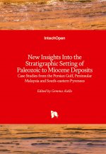 New Insights into the Stratigraphic Setting of Paleozoic to Miocene Deposits