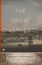 Great Divergence