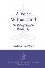 Voice Without End