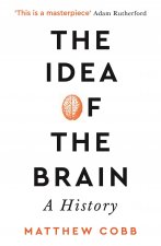 Idea of the Brain