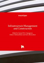 Infrastructure Management and Construction