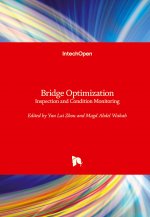 Bridge Optimization