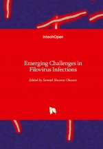 Emerging Challenges in Filovirus Infections