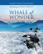 Whale of Wonder