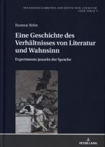 Eine Geschichte Des Verhaeltnisses Von Literatur Und Wahnsinn
