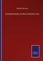 Commentaries on the Common Law