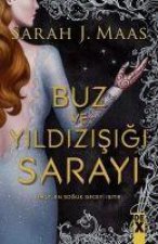 Buz ve Yildizisigi Sarayi