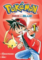 Pokémon Red a Blue 1