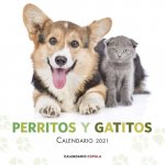 Calendario Perritos y Gatitos 2021