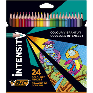 Kredki ołówkowe Color Up BIC 24 kolory