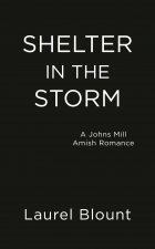 Shelter In The Storm