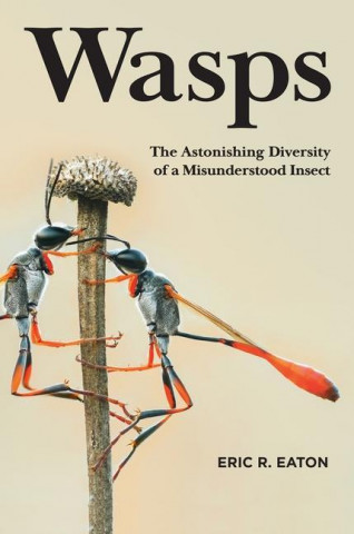 Wasps - The Astonishing Diversity of a Misunderstood Insect
