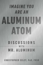 Imagine You Are An Aluminum Atom