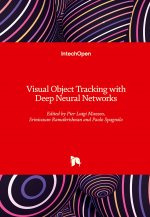 Visual Object Tracking with Deep Neural Networks