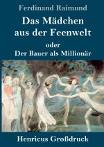 Madchen aus der Feenwelt oder Der Bauer als Millionar (Grossdruck)