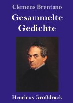 Gesammelte Gedichte (Grossdruck)