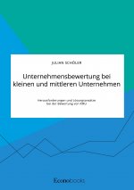 Unternehmensbewertung bei kleinen und mittleren Unternehmen. Herausforderungen und Loesungsansatze bei der Bewertung von KMU