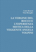 Vergine del Bocco E l'Esperienza Mistica Della Veggente Angela Volpini