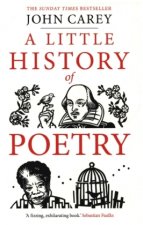 Little History of Poetry