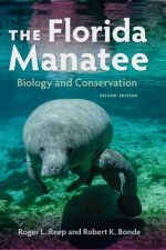 Florida Manatee