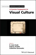 Concise Companion to Visual Culture
