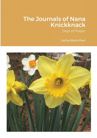 Journals of Nana Knickknack, Volume 4